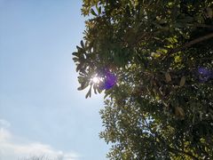 -长广溪湿地公园