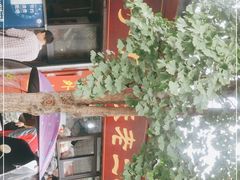 门面-洞子口张老二凉粉(文殊院店)