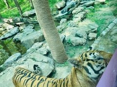 -北京野生动物园