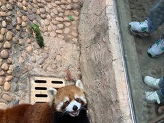 -深圳野生动物园