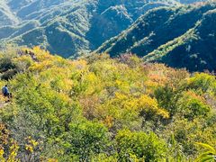-大岭沟猕猴桃谷风景区