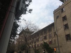 -武汉大学-樱园