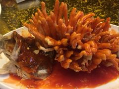 -楚灶王(徐东店)