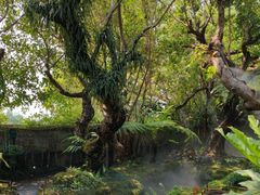 -Chom Cafe and Restaurant