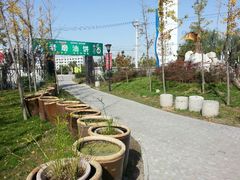 android_upload_pic-老磨油饼(高陵店)