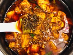 -陈麻婆豆腐总店