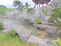 -东莞植物园