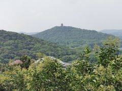 -宝界山林公园