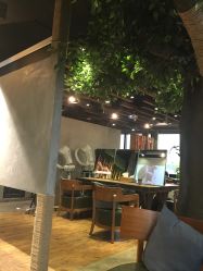 -V-STAR威斯达•高级私人定制