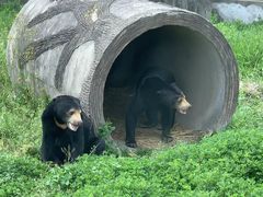 -上海野生动物园