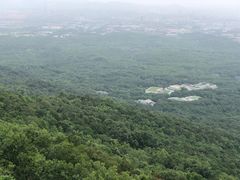 -紫金山山顶公园