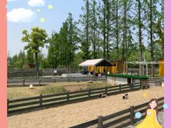 -前小桔亲子创意农场·草莓采摘·露营烧烤