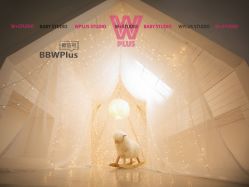 点击看大图 -WPlus明星肖像亲子全家福摄影