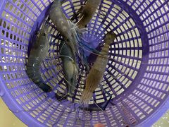 -芭提雅Amporn Seafood自助餐厅