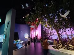 -中国湿地博物馆