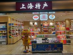 -上海浦东国际机场-T2航站楼