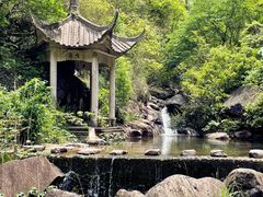 -大奇山国家森林公园