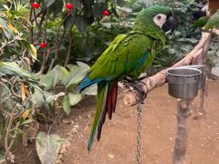 -南宫五洲植物乐园