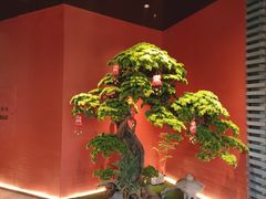 -阿伟海鲜楼·福建菜(延寿店)