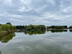 -苏州太湖国家湿地公园