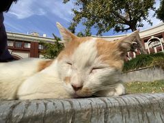 -华东政法大学(松江校区)