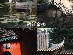 -碧江金楼