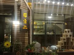 门面-有猫主题·治愈系猫咖(曾厝垵店)
