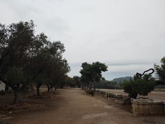 -奥林匹亚宙斯神庙