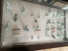 -飞来湖湿地公园