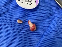 -浙江大学医学院附属口腔医院湖滨（延安）院区