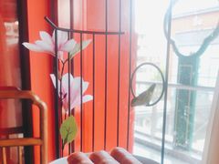 -禧鳳記·猪肚鸡火锅(玖洲道店)
