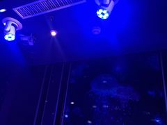 -东方金柜(郑州金水印象汇店)