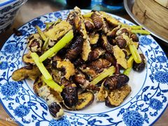 -老长江路灌汤包(天津路总店)