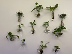 -格林豪泰酒店(北京北苑路北地铁站航空总医院店)