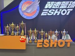 -翼速篮球·儿童体适能·中考体育(鲁能城店)