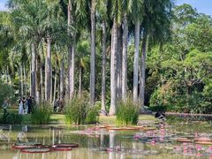 -中国科学院西双版纳热带植物园