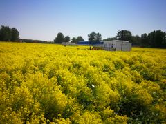 -天津武清北运河郊野公园房车露营地