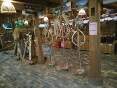 -勐旺傣香园