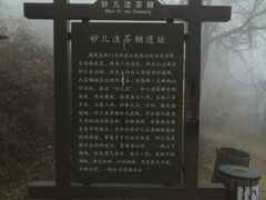 -阳台山自然风景区
