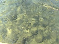 -九曲溪竹筏码头