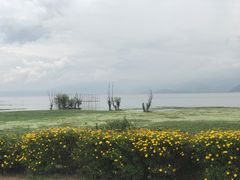-大理洱海