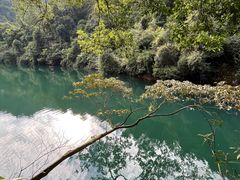 -鼎湖山风景区