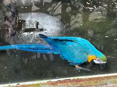 -柳州市动物园