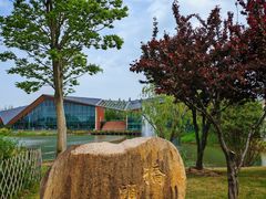 -上海长兴岛郊野公园