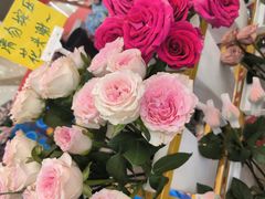 -万达广场(南京江宁店)