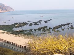 -棒棰岛宾馆景区