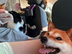 -上海昆虫博物馆