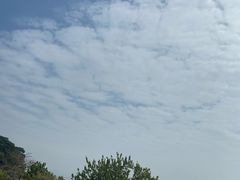 -深圳湾公园(南山区)