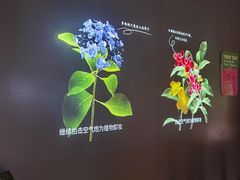 -厦门诚毅自然探索馆