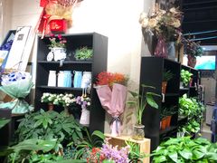 -中百生活剧场(泛海城市广场店)